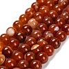 Dyed Natural Agate Beads Strands G-G203-10L-12mm-2