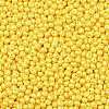 6/0 Glass Seed Beads X1-SEED-L011-08A-17-3
