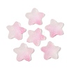 Imitation Candy Food Style Resin Cabochons X1-RESI-R461-02K-1