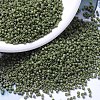 MIYUKI Delica Beads SEED-J020-DB0391-1