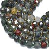 Natural African Bloodstone Beads Strands G-K389-A57-01-3