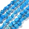 Natural Howlite Beads Strands G-P497-01E-37-1