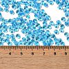 Transparent Colours Glass Seed Beads SEED-P006-02A-08-4