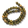 Natural Bumblebee Jasper Beads Strands G-P544-A03-03-3