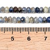 Natural Kyanite Beads Strands G-P612-A01-01-5