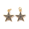 Brass Micro Pave Clear Cubic Zirconia Charms ZIRC-Z018-15G-B-1