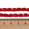 Transparent Glass Beads Strands GLAA-Z018-C19-4