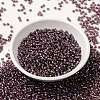 MIYUKI Round Rocailles Beads SEED-X0055-RR3748-2