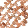 Natural Sunstone Beads Strands G-P604-A04-01-2