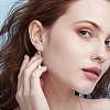 20 Pairs 2 Colors Brass Leverback Earring Findings KK-SC0007-43-6