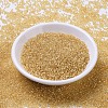 MIYUKI Round Rocailles Beads SEED-JP0008-RR0003-2