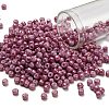 TOHO 6/0 Round Beads SEED-XTR06-1202-1