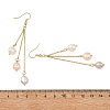 Natural Cultured Freshwater Pearl Tassel Dangle Earrings EJEW-JE07381-02-5