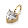 316 Stainless Steel Micro Pave Cubic Zirconia Charms ZIRC-P108-01G-D-2
