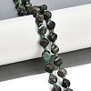 Natural African Turquoise(Jasper) Beads Strands G-L579-05A-2