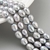 Natural Cultured Freshwater Pearl Beads Strands PEAR-P062-10D-2