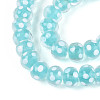 Handmade Lampwork Beads LAMP-T022-12C-3