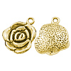 Tibetan Style Alloy Pendants X-GLF9872Y-1