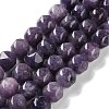 Natural Lepidolite Beads Strands G-NH0021-A07-02-1