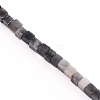 Natural Eagle Eye Stone Beads Strands G-WH0009-07-2