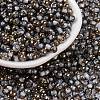 Glass Seed Beads SEED-A032-06F-1