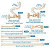 2Pcs Brass Hook and S-Hook Clasps DIY-TA0004-25-3