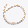 Natural Cultured Freshwater Pearl Beads Strands PEAR-K003-26C-01-2