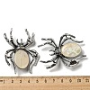Dual-use Items Alloy Pave Dyed Shell Spider Brooch JEWB-C026-04E-AS-3