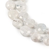 Natural Rainbow Moonstone Beads Strands G-B094-A06-01-3