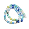 Baking Paint Glass Beads Strands LAMP-S070-06D-2