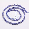 Natural Blue Spot Jasper Beads Strands G-G545-17-2