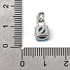 Birthdaystone Theme December 304 Stainless Steel Charms STAS-B128-60P-12-3