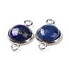 Natural Lapis Lazuli  Connector Charms G-D059-01C-05-3