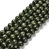 Natural Diopside Beads Strands G-R006-A01-01-1