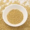 MIYUKI Delica Beads SEED-MY11-DB0031-2