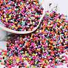 Baking Paint Glass Seed Beads SEED-S042-05B-48-1