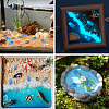 12Pcs Luminous Translucent Resin Sea Animal Cabochons RESI-TA0004-56F-6