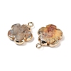 Natural Crazy Agate Pendants G-P566-01G-05-2