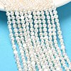 Natural Cultured Freshwater Pearl Beads Strands PEAR-C004-15-1