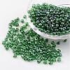 Round Glass Seed Beads X-SEED-A006-4mm-107B-1