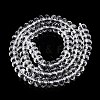 Transparent Glass Beads Strands GLAA-N001-61B-2