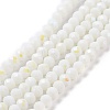 Electroplate Opaque Solid Color Glass Beads Strands LS-EGLA-A034-P10mm-L17-1