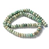 Natural Turquoise Beads Strands G-I378-B03-02-3