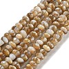 Natural Freshwater Shell Beads Strands X-BSHE-G038-05-1