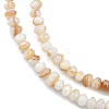 Natural Freshwater Shell Beads Strands SHEL-G013-03A-3