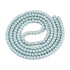 Baking Paint Glass Pearl Beads Strands DGLA-ZX001-05B-14-2