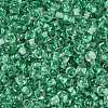 Transparent Inside Colours Glass Seed Beads SEED-A032-04G-3