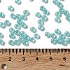 Glass Seed Beads X1-SEED-H002-E-A1419-4