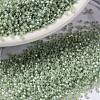 MIYUKI Round Rocailles Beads SEED-X0056-RR2354-1