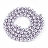Baking Paint Pearlized Glass Pearl Bead Strands HY-N002-5mm-A04-3